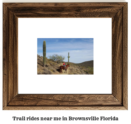 trail rides near me in Brownsville, Florida